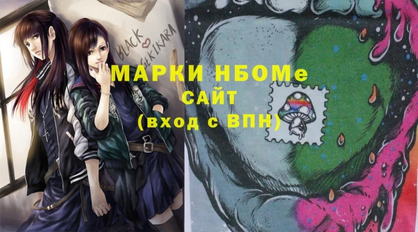 гашик Верея