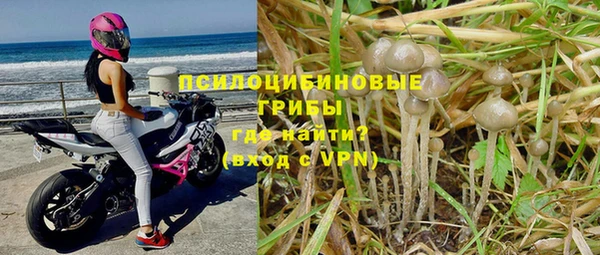 гашик Верея