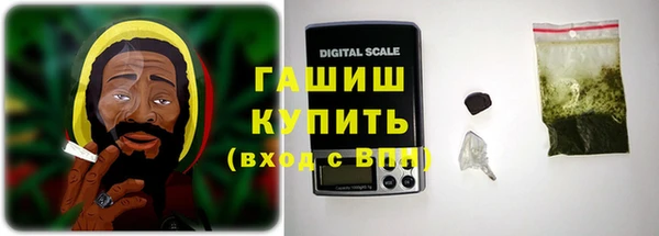 гашик Верея